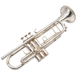 Used Shires Model A