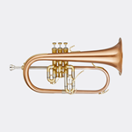 Blessing BFH1541RT Flugelhorn in Brushed Brass