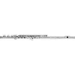 Azumi AZ3SRBO Flute
