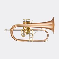 Blessing BFH1541RT Flugelhorn in Brushed Brass